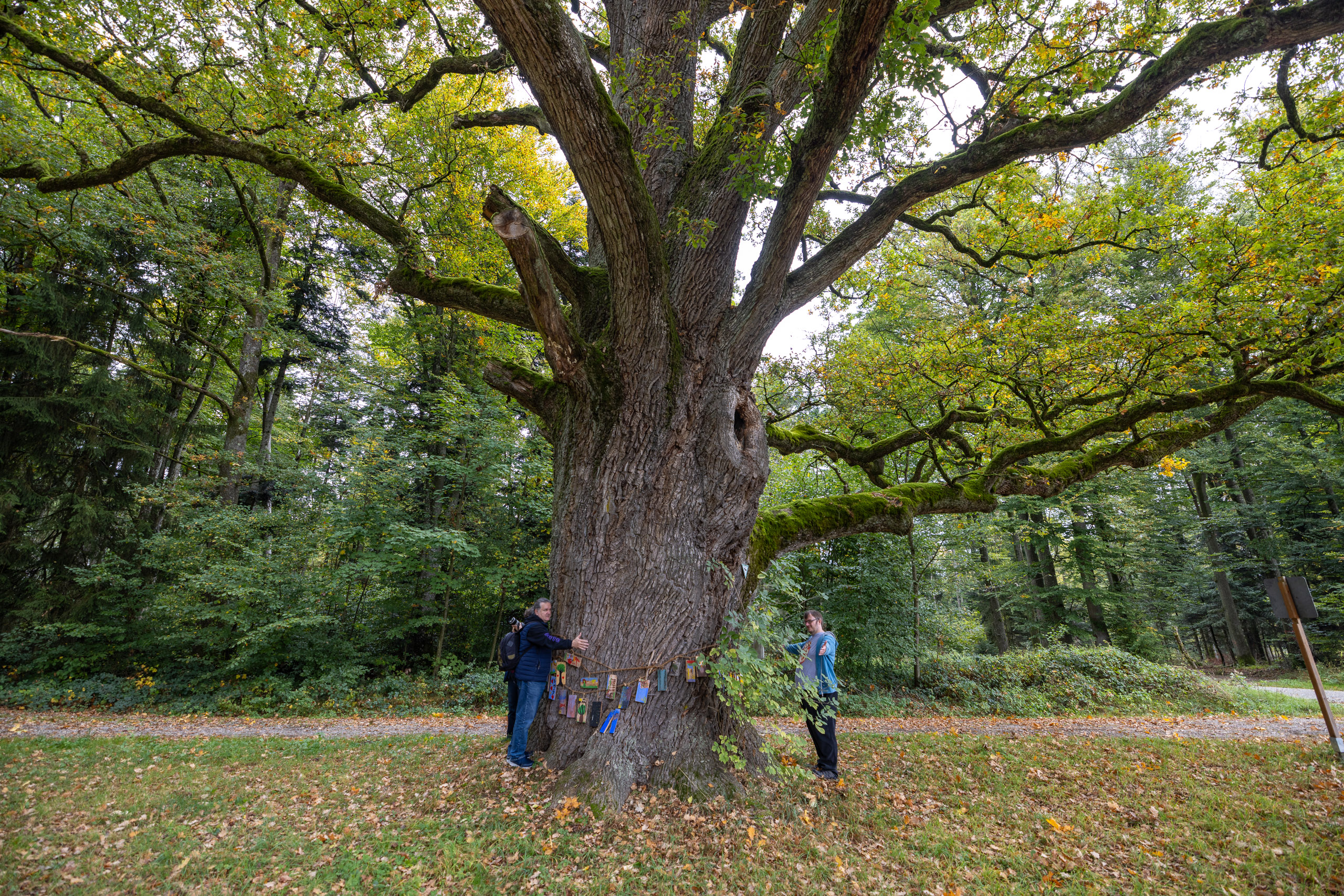 20231015104443 R5D 4332